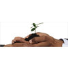Management Recruiters of Edison
