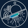 Coding.Bio