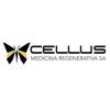 Cellus Medicina Regenerativa