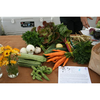 Shared Roots Farm