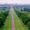 Windsor Great Park