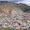 Tarma
