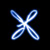 Xper