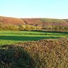 Prolley Moor