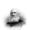 Edward Joseph Lowe