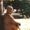 Buddhadasa