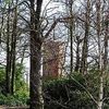 Ockham, Surrey