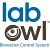 Lab Owl
