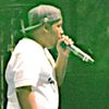 Jasper Dolphin