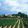 Bodegas Torres