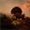 Verismo (painting)