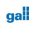 Gallus Holding