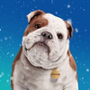 Churchill Insurance