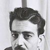 Emile Habibi