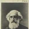 William Chauvenet