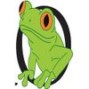 Frog Events Ltd