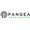 Pangea Accelerator