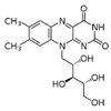 Riboflavin