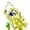 Antithrombin