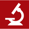 Ammon-Rousseau Translations
