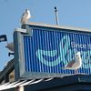 Ivar's