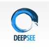 DeepSee
