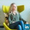 Hilde Boorsma