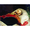Emperor Alexander II on His Deathbed