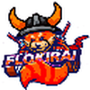 Flokirai