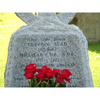 Spike Milligan