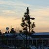 Lowes Foods