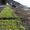 Kilmun