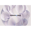 watsonx.data