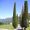 Collina d'Oro