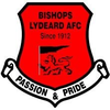 Bishops Lydeard A.F.C.