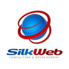 Silkweb Llc