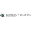 Blueberry IT Solutions