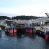 Swartz Bay Ferry Terminal