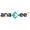 Anaxee Digital Runners