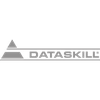 Dataskill