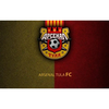 FC Arsenal-2 Tula