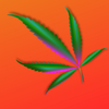 Project Ganja