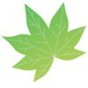 MapleGraph Solutions