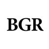 BGR Group