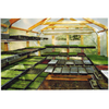 Georgia Microgreens LLC
