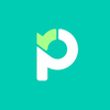 Paymo (company)