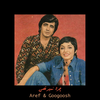 Aref Arefkia