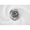 Royal Rooter Inc