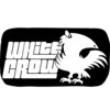 WhiteCrow Tech