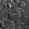 Cleostratus